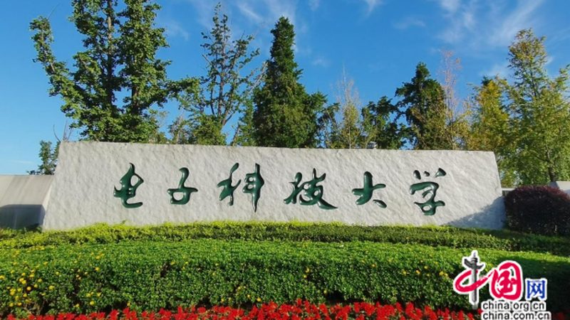 继电器型号规格解析：揭秘电子设备中的“开关灵魂”**